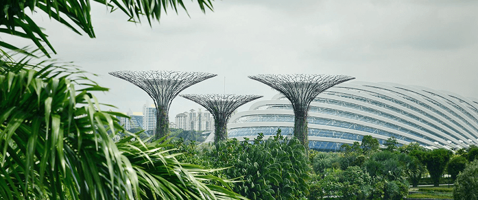 Singapore Institute of Planners